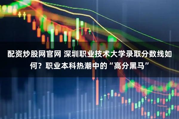 配资炒股网官网 深圳职业技术大学录取分数线如何？职业本科热潮中的“高分黑马”